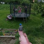 phoca_thumb_m_zajci a oveky 10 Fotogalerie